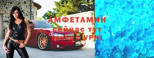 прущие грибы Балабаново