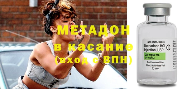 прущие грибы Балабаново