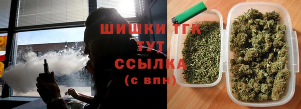 прущие грибы Балабаново